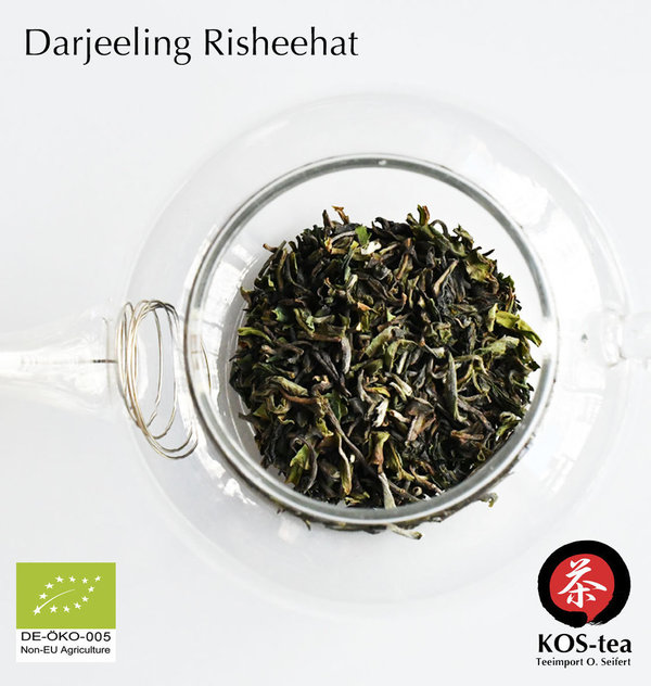 Bio Darjeeling, Risheehat - first flush
