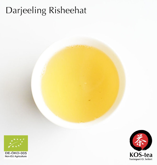 Bio Darjeeling, Risheehat - first flush